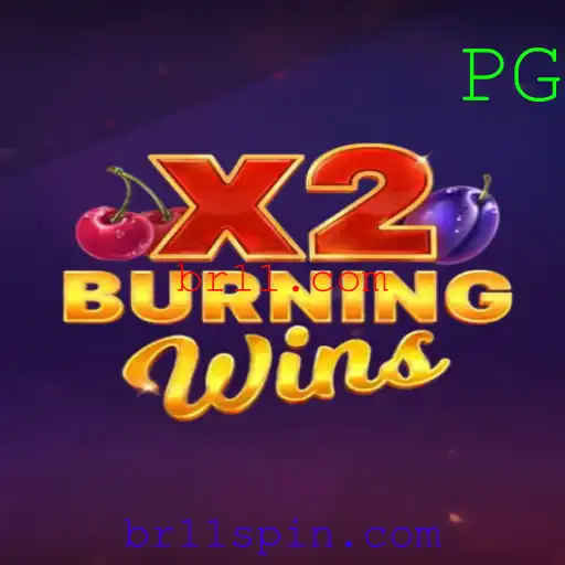 Tudo Sobre BurningWinsX2: Descrição e Regras do Jogo em Destaque